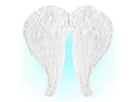 skrzydla-aniola-biale-z-piorami-67-x-64-cm-1-szt