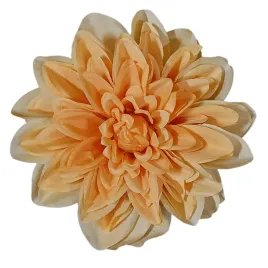 dalia-wyrobowa
