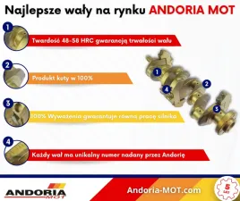 wal-korbowy-kuty-hartowany-mf4-andoria