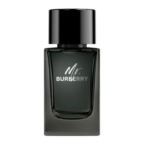 burberry mr. burberry woda perfumowana 100 ml  tester   