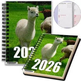 kalendarz-2026-notes-a5-niedziele-swieta-alpaka-09-8a-00035