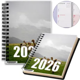 kalendarz-2026-notes-a5-niedziele-swieta-alpaka-10-8a-00036