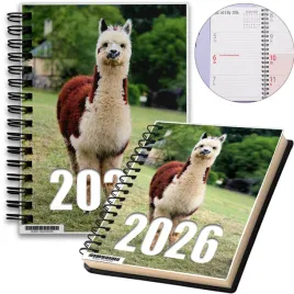 kalendarz-2026-notes-a5-niedziele-swieta-alpaka-12-8a-00038