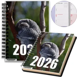 kalendarz-2026-notes-a5-niedziele-swieta-australia-06-8a-00110