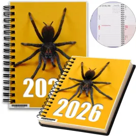 kalendarz-2026-notes-a5-niedziele-swieta-pajak-06-8a-02235