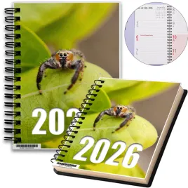 kalendarz-2026-notes-a5-niedziele-swieta-pajak-11-8a-02240