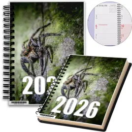 kalendarz-2026-notes-a5-niedziele-swieta-pajak-12-8a-02241