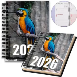 kalendarz-2026-notes-a5-niedziele-swieta-papuga-06-8a-02274