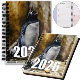 kalendarz-2026-notes-a5-niedziele-swieta-pingwiny-01-8a-02399