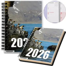 kalendarz-2026-notes-a5-niedziele-swieta-pingwiny-03-8a-02401