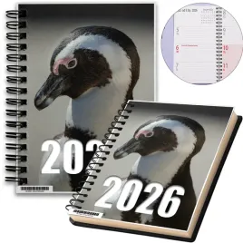 kalendarz-2026-notes-a5-niedziele-swieta-pingwiny-04-8a-02402