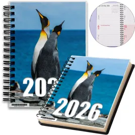 kalendarz-2026-notes-a5-niedziele-swieta-pingwiny-06-8a-02404