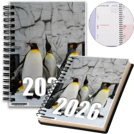 kalendarz-2026-notes-a5-niedziele-swieta-pingwiny-08-8a-02406