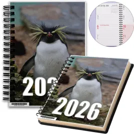 kalendarz-2026-notes-a5-niedziele-swieta-pingwiny-10-8a-02408