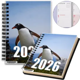 kalendarz-2026-notes-a5-niedziele-swieta-pingwiny-12-8a-02410