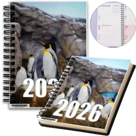 kalendarz-2026-notes-a5-niedziele-swieta-pingwiny-13-8a-02411