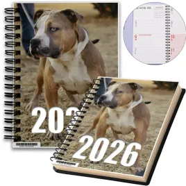 kalendarz-2026-notes-a5-niedziele-swieta-pitbull-12-8a-02423