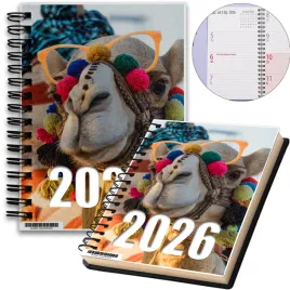kalendarz-2026-notes-a5-niedziele-swieta-egipt-02-8a-00557