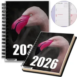 kalendarz-2026-notes-a5-niedziele-swieta-flaming-03-8a-00610