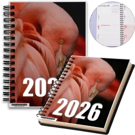 kalendarz-2026-notes-a5-niedziele-swieta-flaming-07-8a-00614
