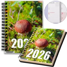 kalendarz-2026-notes-a5-niedziele-swieta-grzyby-08-8a-00759