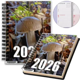kalendarz-2026-notes-a5-niedziele-swieta-grzyby-11-8a-00762