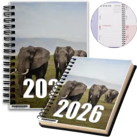 kalendarz-2026-notes-a5-niedziele-swieta-safari-05-8a-02873