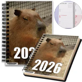 kalendarz-2026-notes-a5-niedziele-swieta-kapibara-02-8a-01186