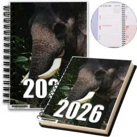kalendarz-2026-notes-a5-niedziele-swieta-slon-09-8a-03085