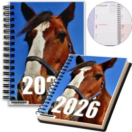 kalendarz-2026-notes-a5-niedziele-swieta-konie-06-8a-01281