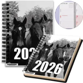 kalendarz-2026-notes-a5-niedziele-swieta-konie-12-8a-01287