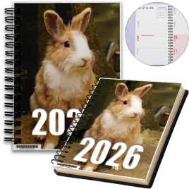 kalendarz-2026-notes-a5-niedziele-swieta-kroliki-03-8a-01384