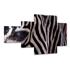 zegary-130x80-makro-fotografia-zebra