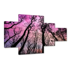 zegary-130x80-las-drzewa-widok-z-dolu