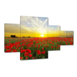 zegary-130x80-pole-makow-z-zachodem