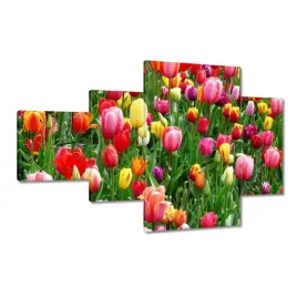 zegary-130x80-kolorowe-tulipany-na-lace