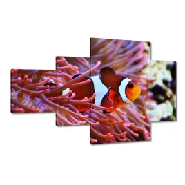 zegary-130x80-pomaranczowa-rybka-rafa