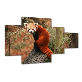 zegary-130x80-pandka-ruda-panda-mala-panda-czerwona-mniejsza