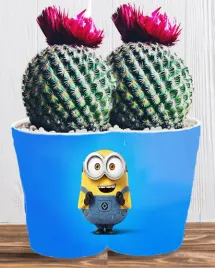 doniczka-do-kwiatow-roslin-minionki-i-gru-producent