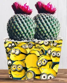 doniczka-do-kwiatow-roslin-minionki-i-gru-producent