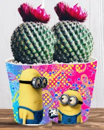 doniczka-do-kwiatow-roslin-minionki-i-gru-producent