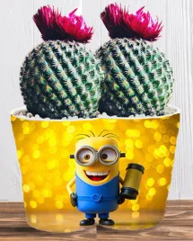 doniczka-do-kwiatow-roslin-minionki-i-gru-producent