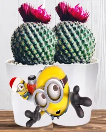 doniczka-do-kwiatow-roslin-minionki-i-gru-producent