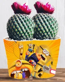 doniczka-do-kwiatow-roslin-minionki-i-gru-producent
