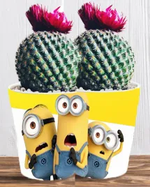 doniczka-do-kwiatow-roslin-minionki-i-gru-producent