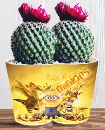 doniczka-do-kwiatow-roslin-minionki-i-gru-producent