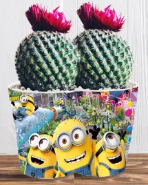 doniczka-do-kwiatow-roslin-minionki-i-gru-producent