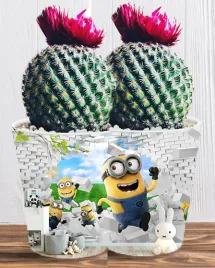 doniczka-do-kwiatow-roslin-minionki-i-gru-producent