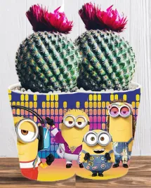 doniczka-do-kwiatow-roslin-minionki-i-gru-producent