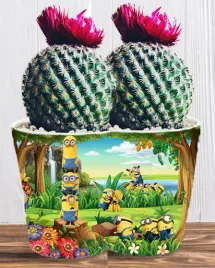 doniczka-do-kwiatow-roslin-minionki-i-gru-producent